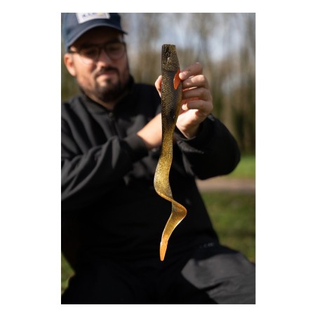 Gold Carp