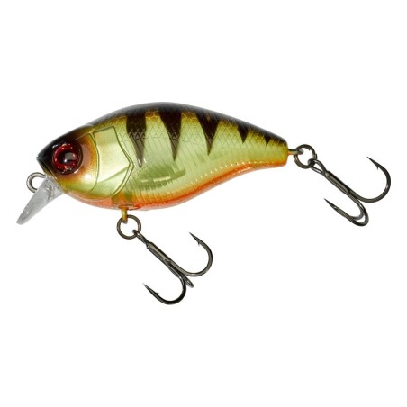 Angry Perch