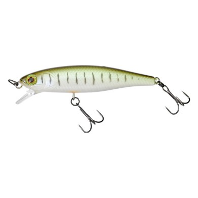 Minnow