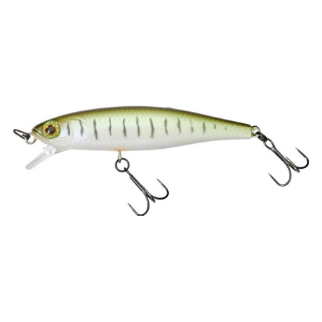Minnow