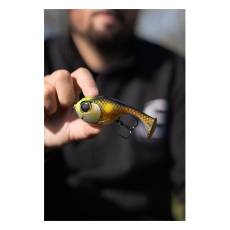 Visible Gold Carp