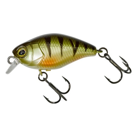 Perch