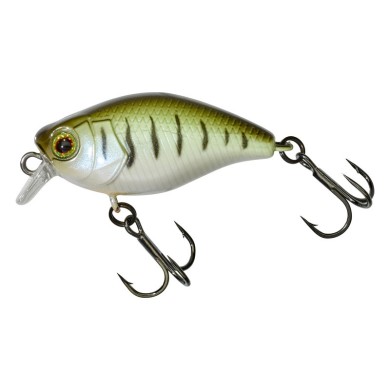 Minnow