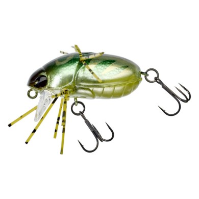 Cockroach