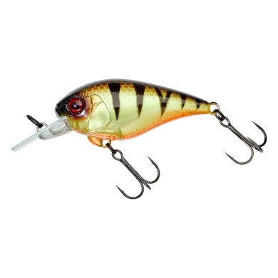 Angry Perch