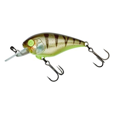 Nasty Perch