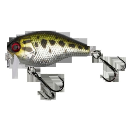 HL Agressiv Bass