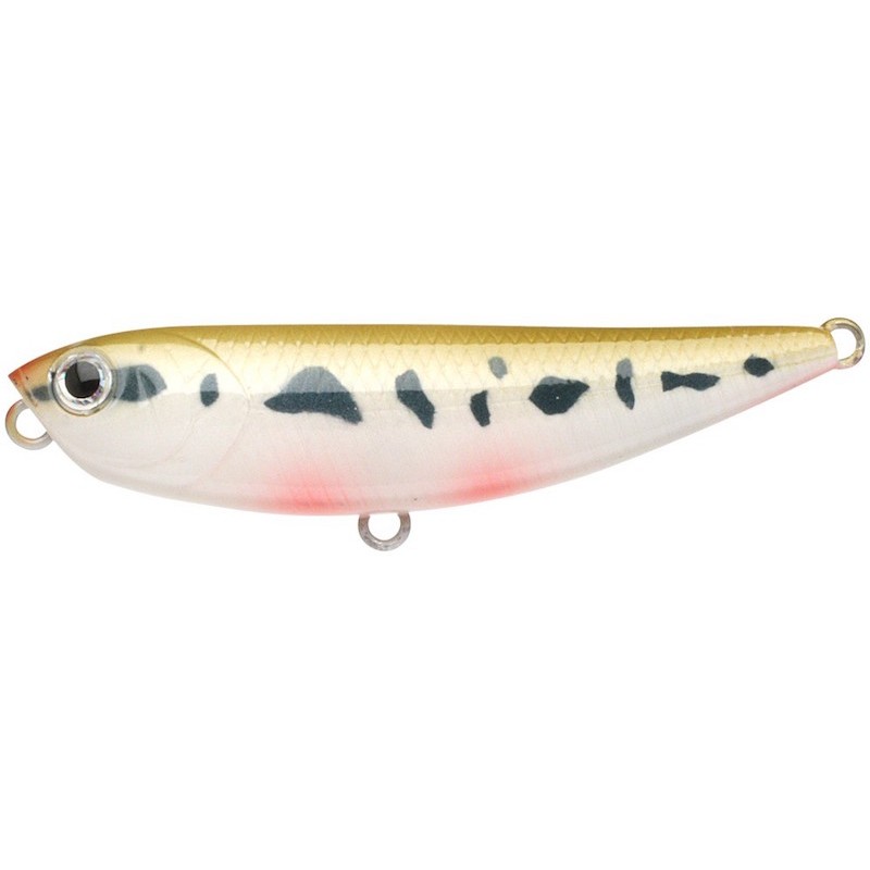 Lucky Craft /"SAMMY 65/" Topwater Auroa Gold Northern Perch