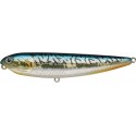 Aurora Mackerel
