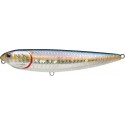 MS American Shad