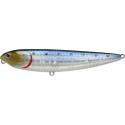 MS Metallic Sardine