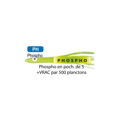 Flashmer Planctons 4 cm - Vrac X500-
