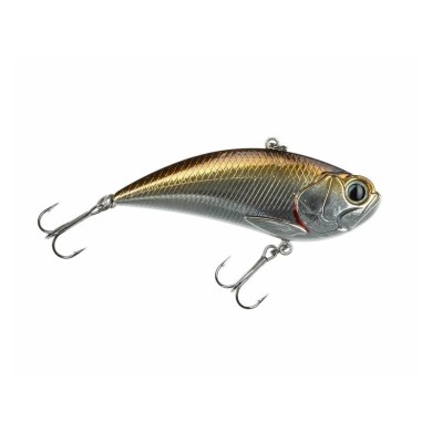 Freedom Rad Lipless-