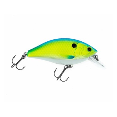 Freedom Rad Squarebill-
