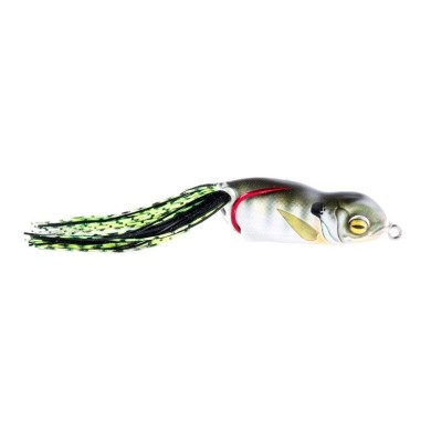 Scum Frog Launch Frog-
