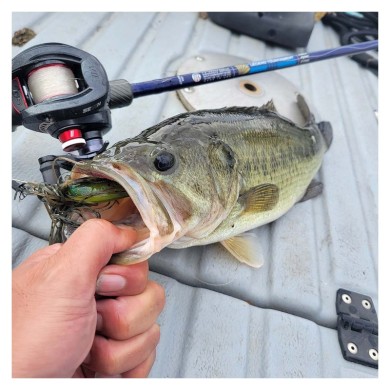 St Croix Legend Tournament Bass Casting-