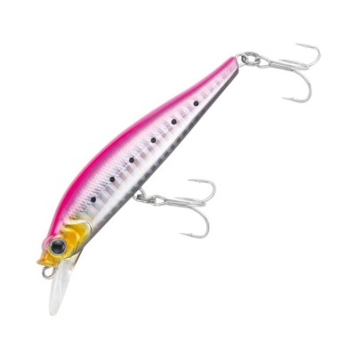 Pink Back Iwashi (PBI)