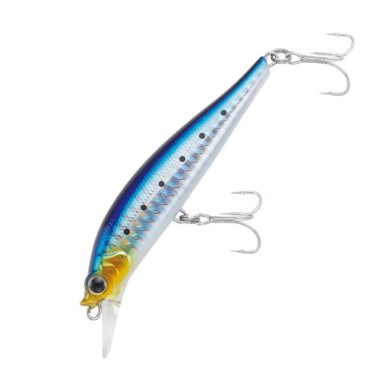 Iwashi (IW)