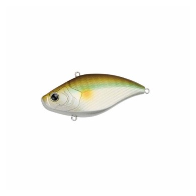 Pearl Shad (PS)
