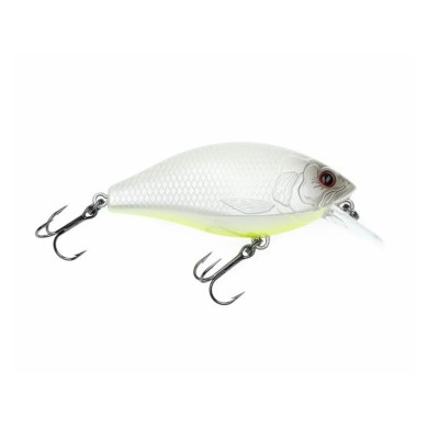 White Chartreuse Belly
