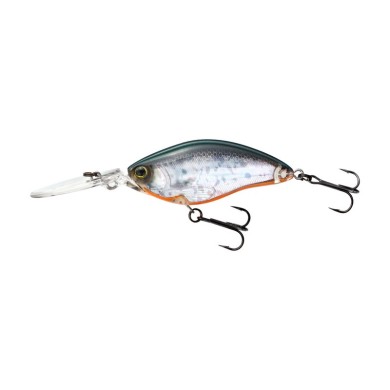 HOLOGRAPHIC TENNESSEE SHAD (HTS)