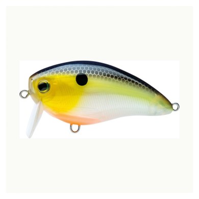 SEXY SHAD (SSH)