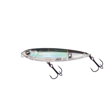 REAL GIZZARD SHAD (RGZS)