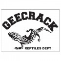 Geecrack Logo Salamandre