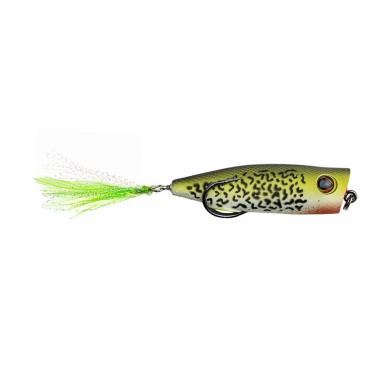 Crappie