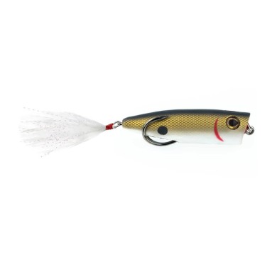 Tennessee Shad