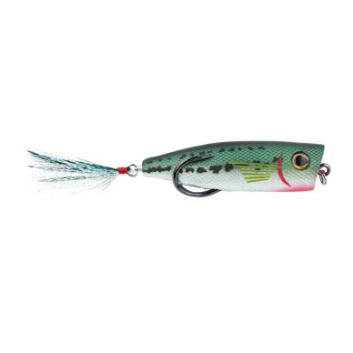 Baby Bass