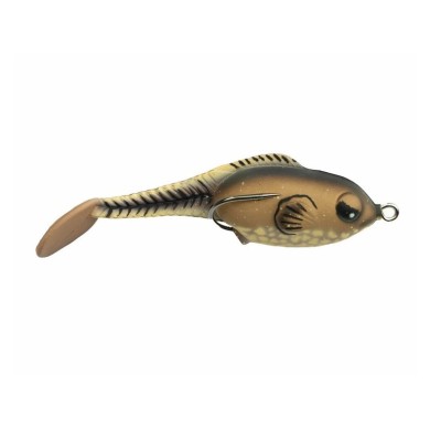 Bullfrog Tadpole