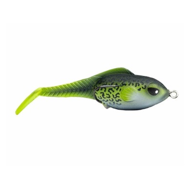 Crappie