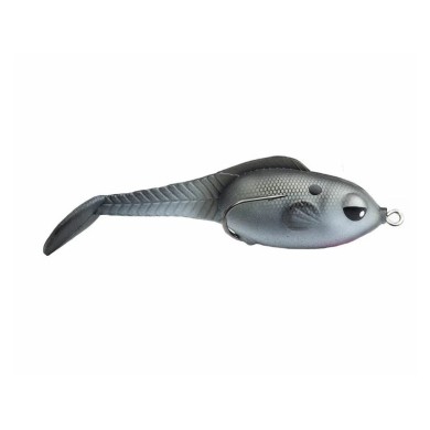 GIZZARD SHAD