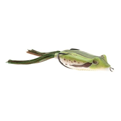 Pine Frog
