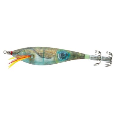 NATURAL SEICHE (BLRS)