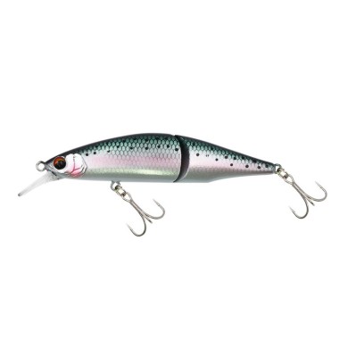 Metallic Trout (MRB)