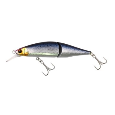 Metallic Katakuchi (MKC)