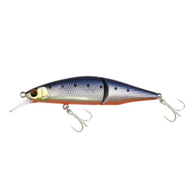Metallic Iwashi Red Belly (MIR)