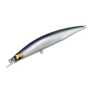 Metallic Roach (MRC)