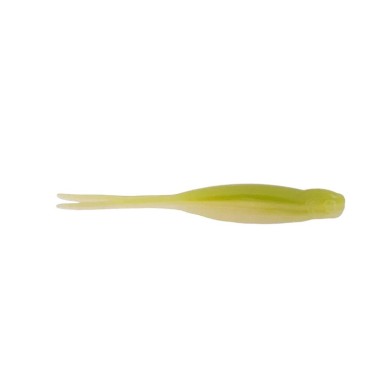 Watermelon Shad