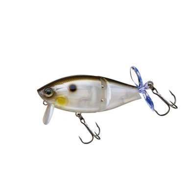 GIZZARD SHAD (GZSH)