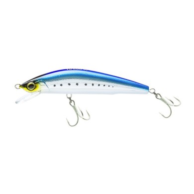 HOLOGRAPHIC SARDINE (HIW)