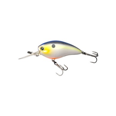 SEXY SHAD (SSH)