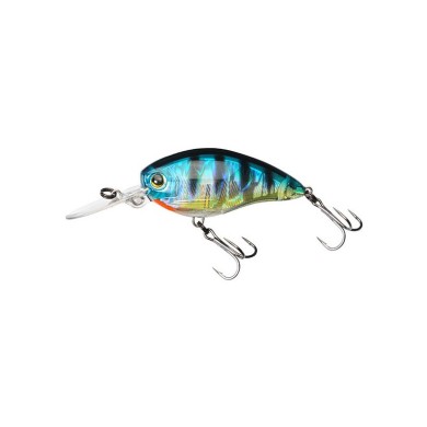 Holographic Bluegill (HBG)