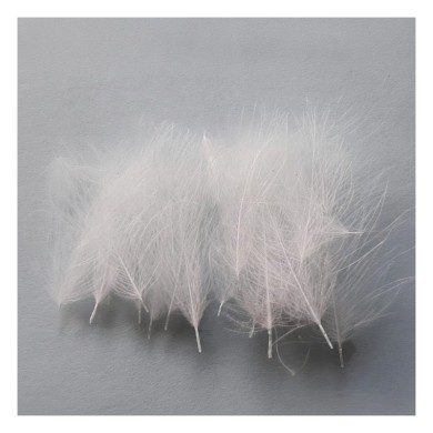 Plumes CDC DOHIKU CA – 20 pièces-