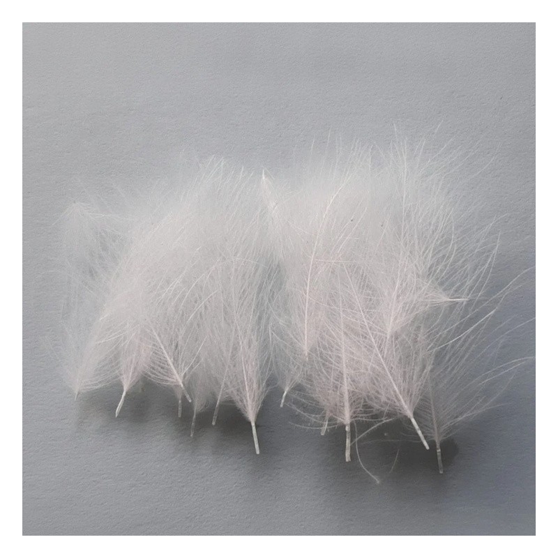 Plumes CDC DOHIKU CA – 20 pièces-