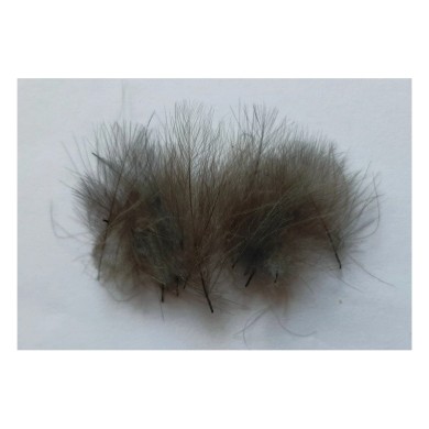 Plumes CDC DOHIKU CA – 20 pièces-