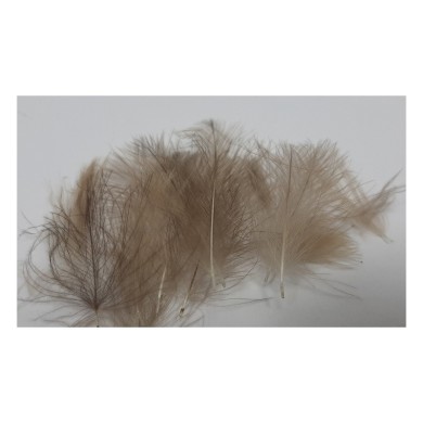 Brun naturel