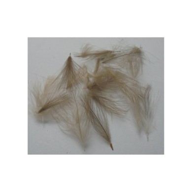 Plumes CDC DOHIKU – Sachet de 1g-